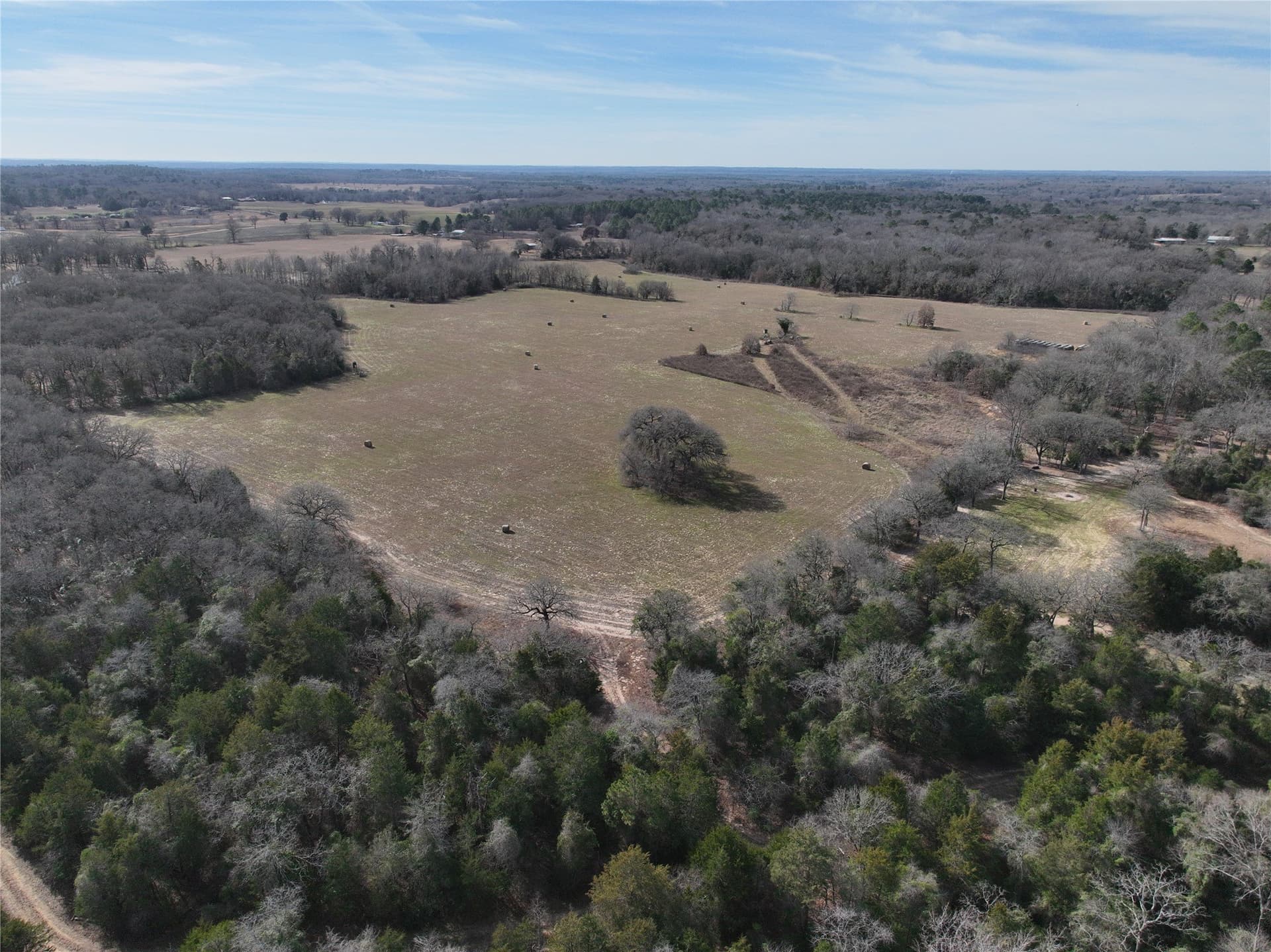 232.98 acres in Wood County - photo 20