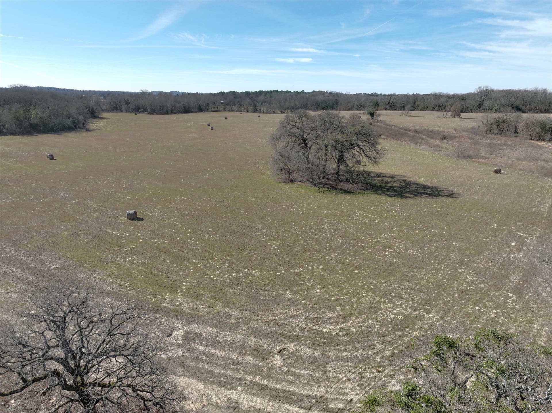 232.98 acres in Wood County - photo 8
