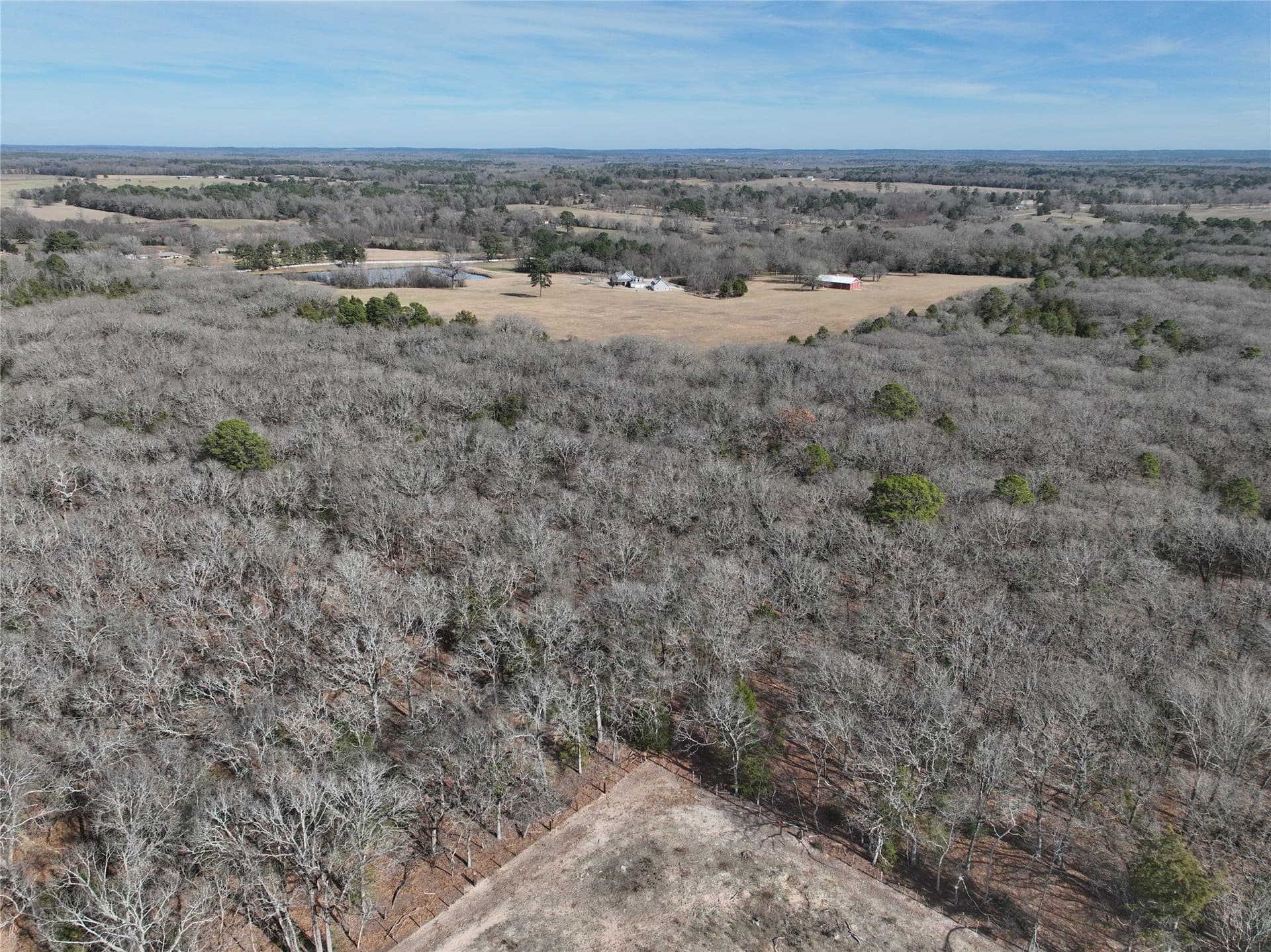 232.98 acres in Wood County - photo 23