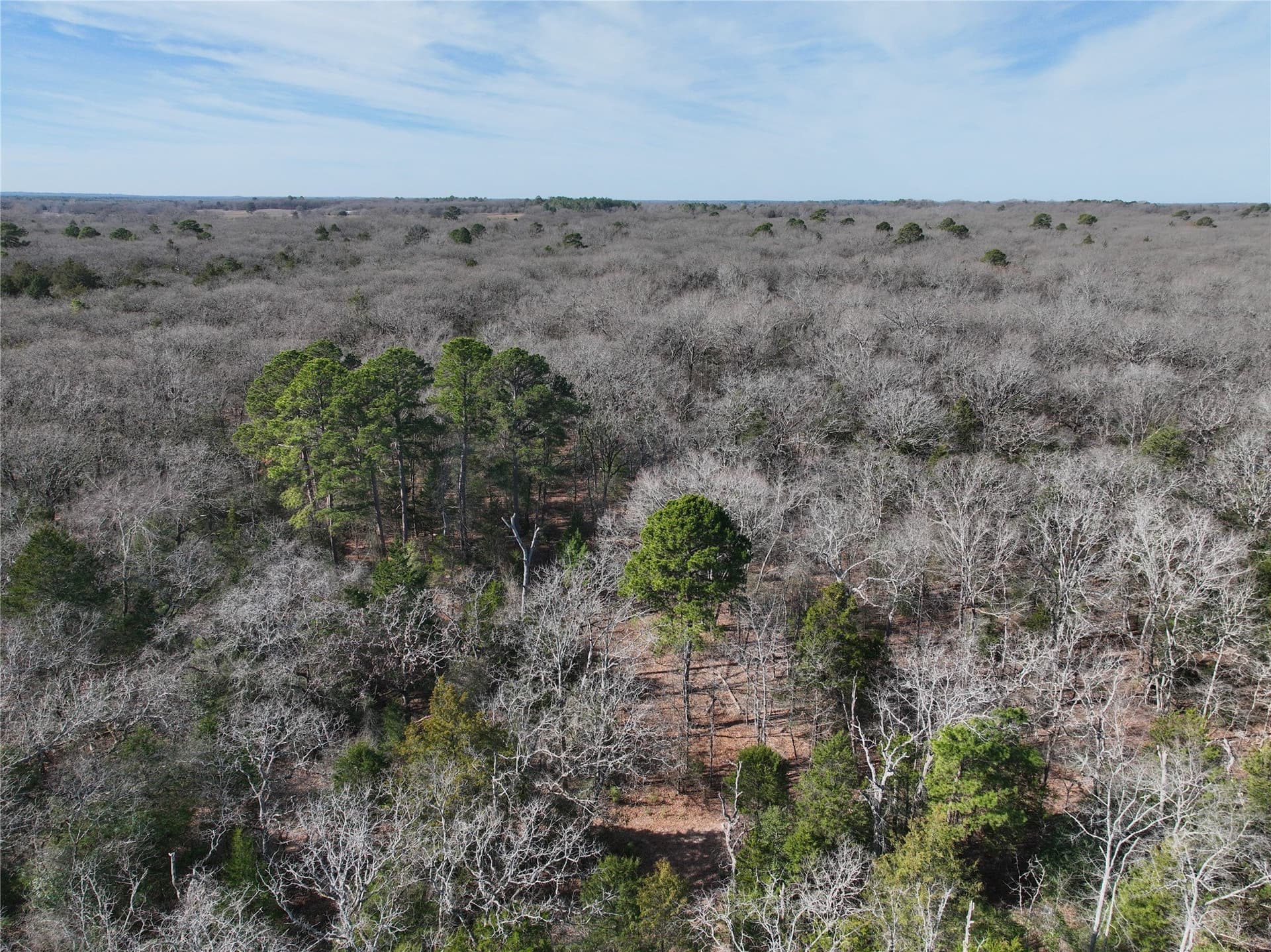232.98 acres in Wood County - photo 19