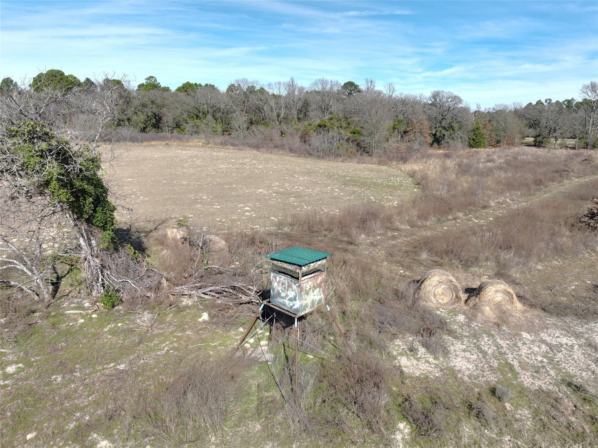 232.98 acres in Wood County - photo 10