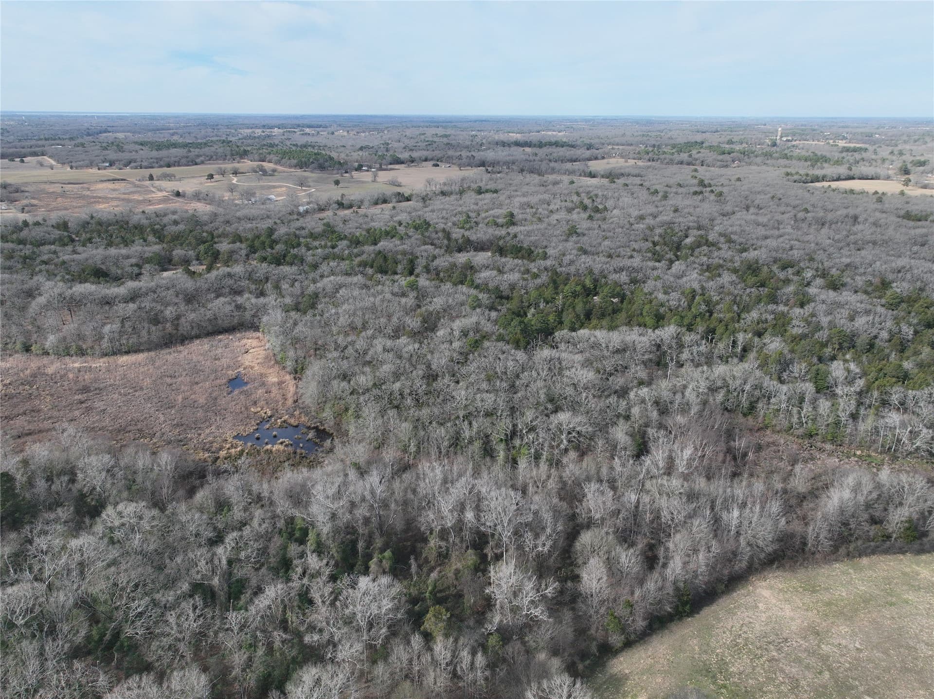 232.98 acres in Wood County - photo 29