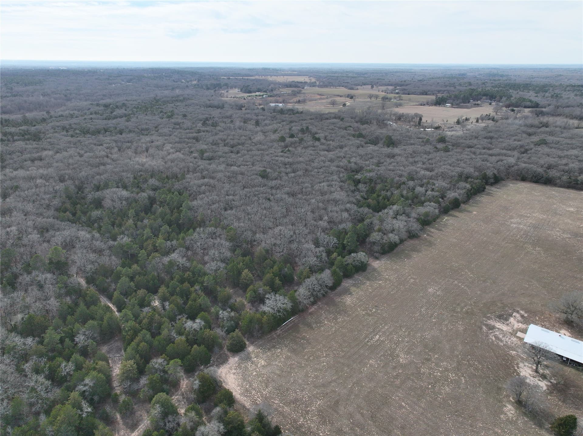 232.98 acres in Wood County - photo 31