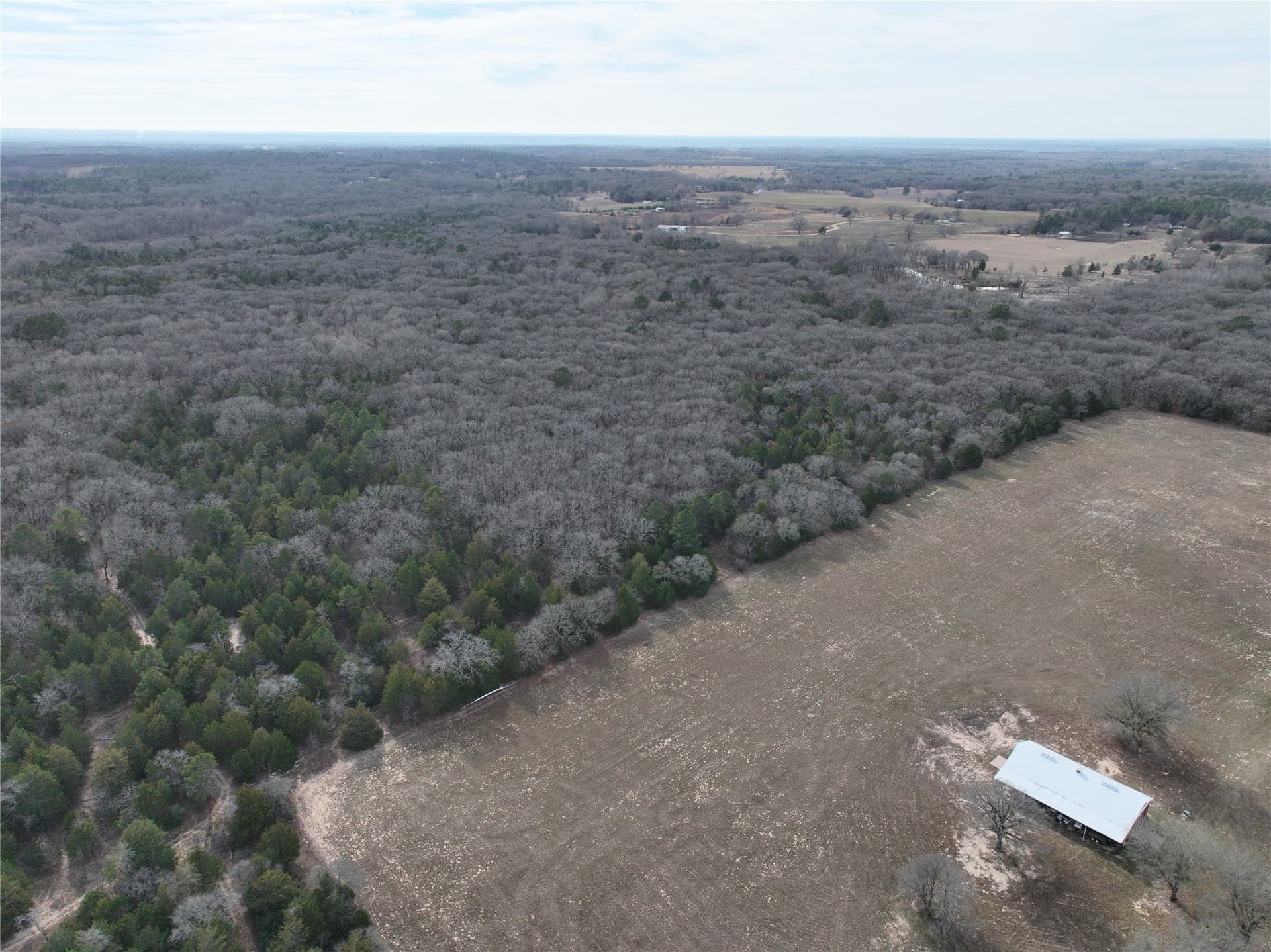 232.98 acres in Wood County - photo 32