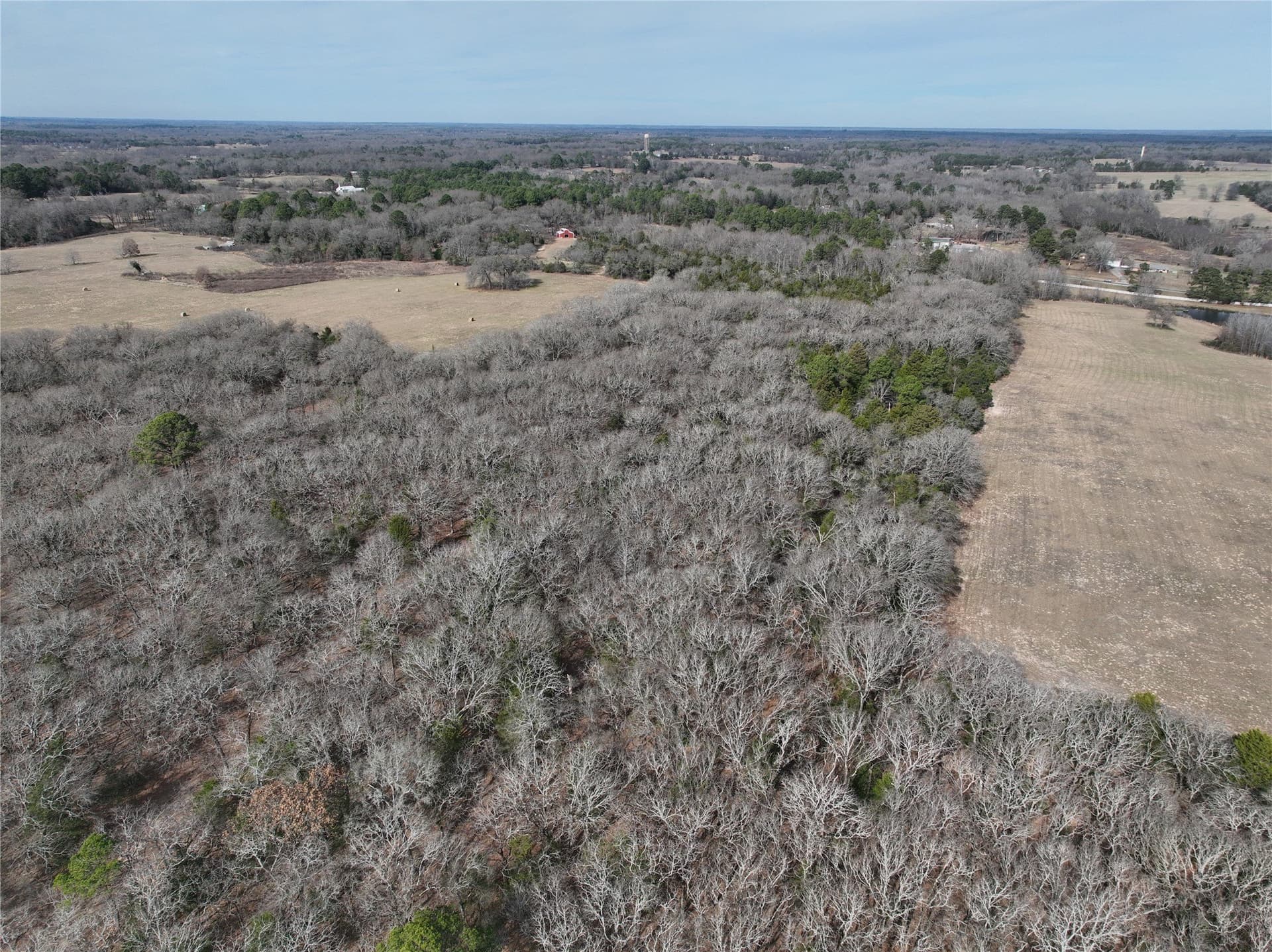 232.98 acres in Wood County - photo 27
