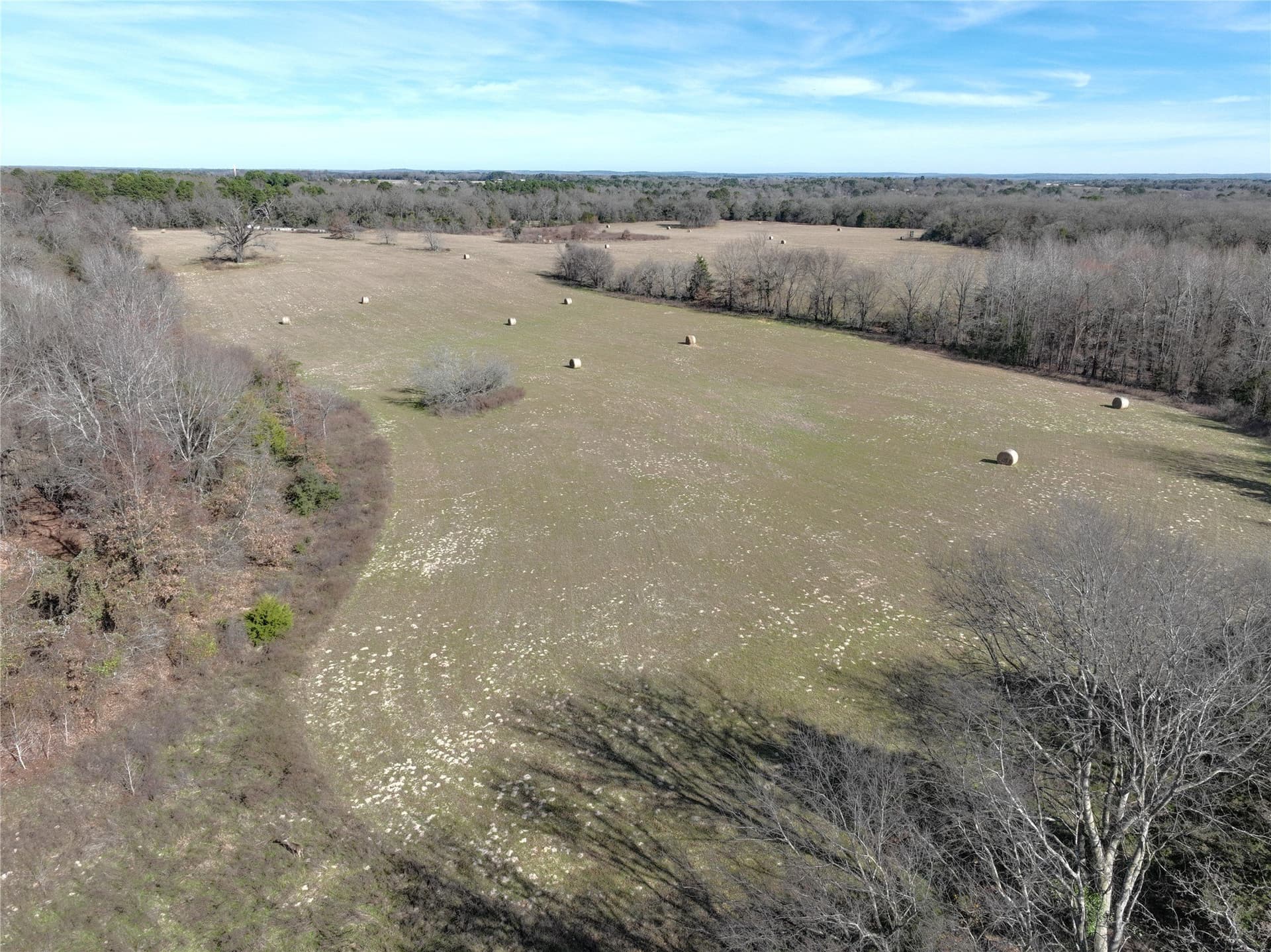 232.98 acres in Wood County - photo 17