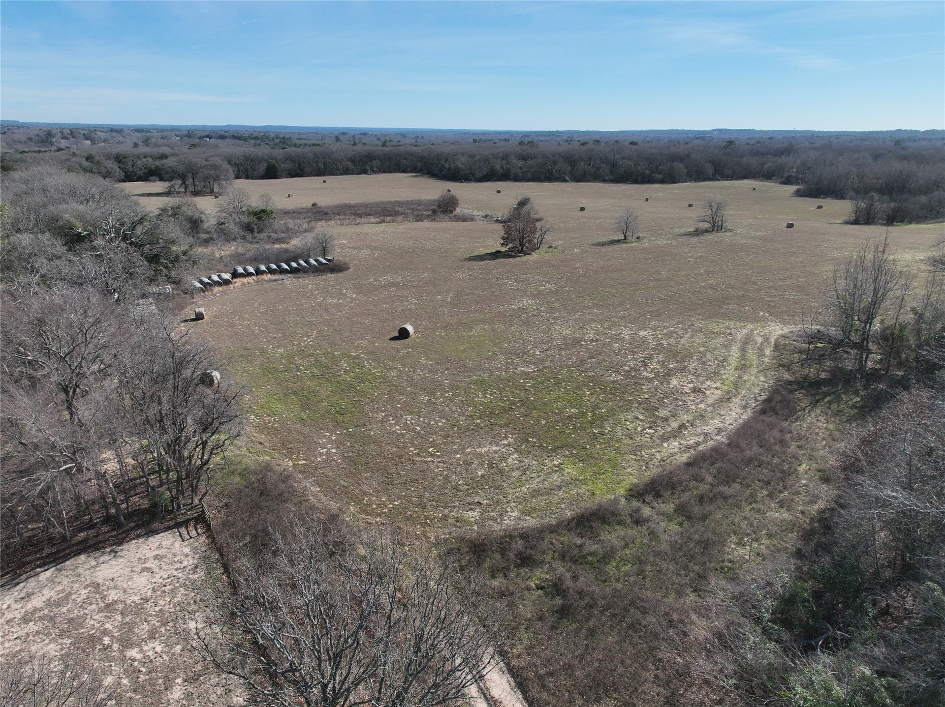 232.98 acres in Wood County - photo 12