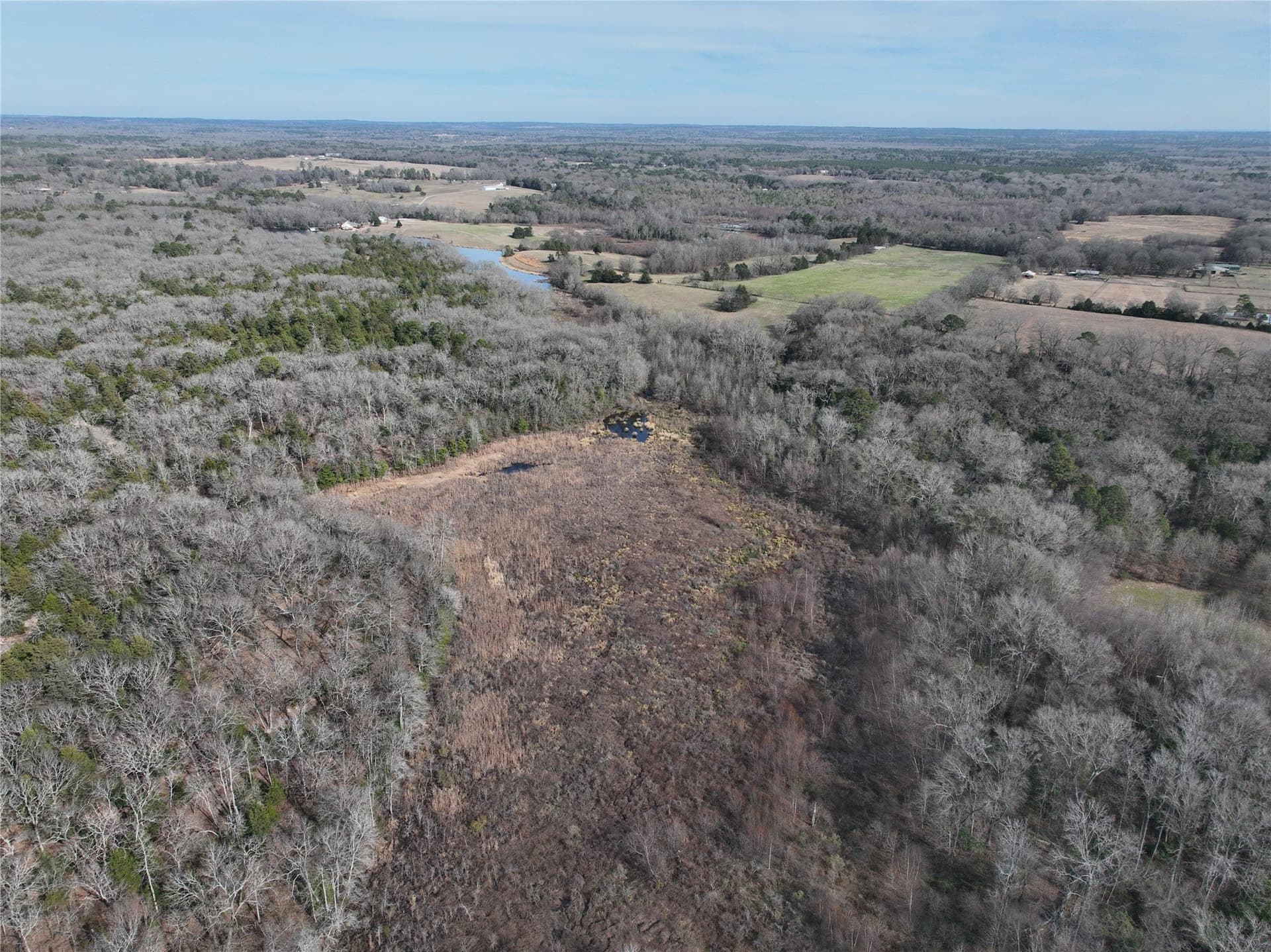 232.98 acres in Wood County - photo 28