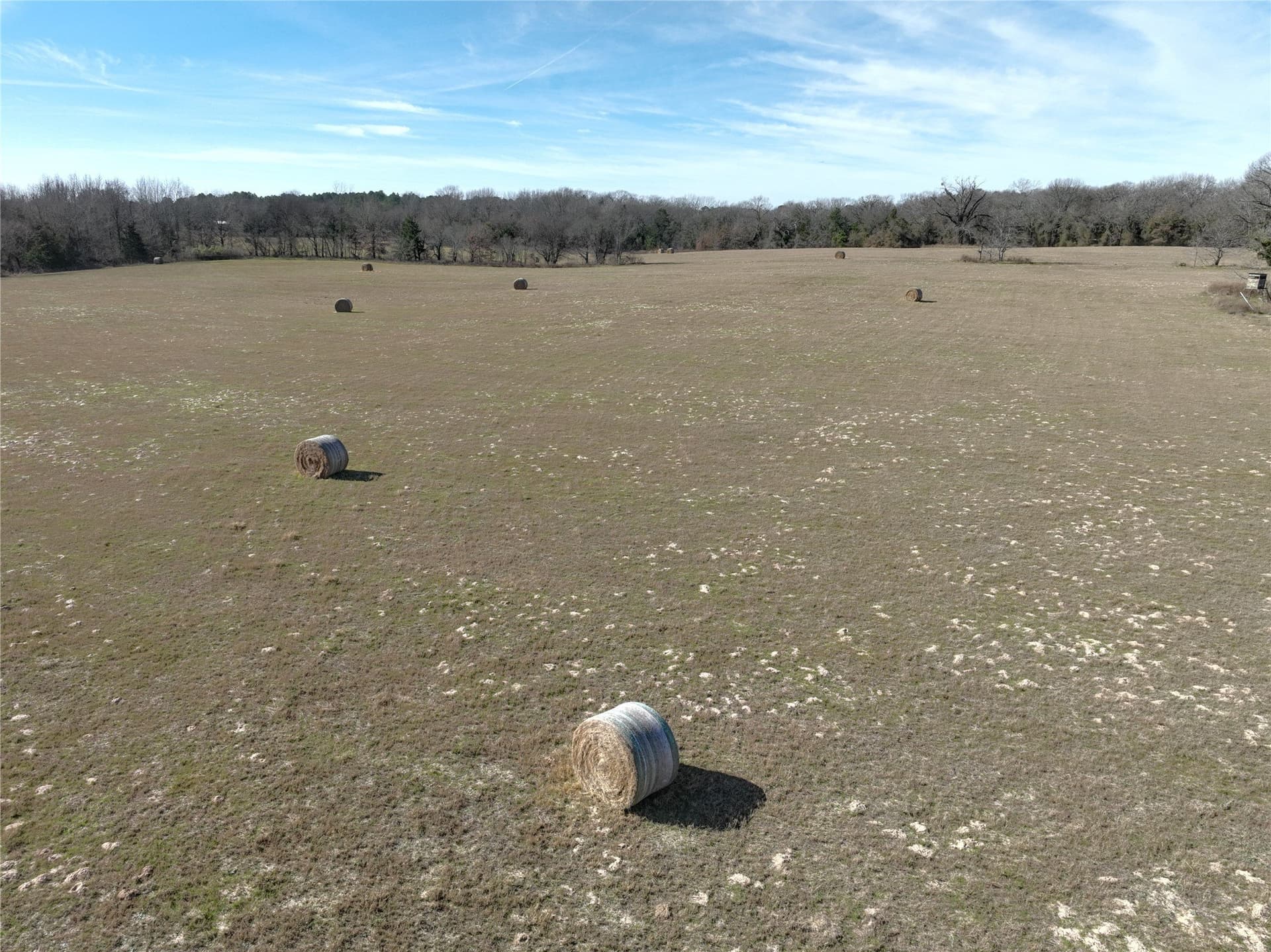232.98 acres in Wood County - photo 9