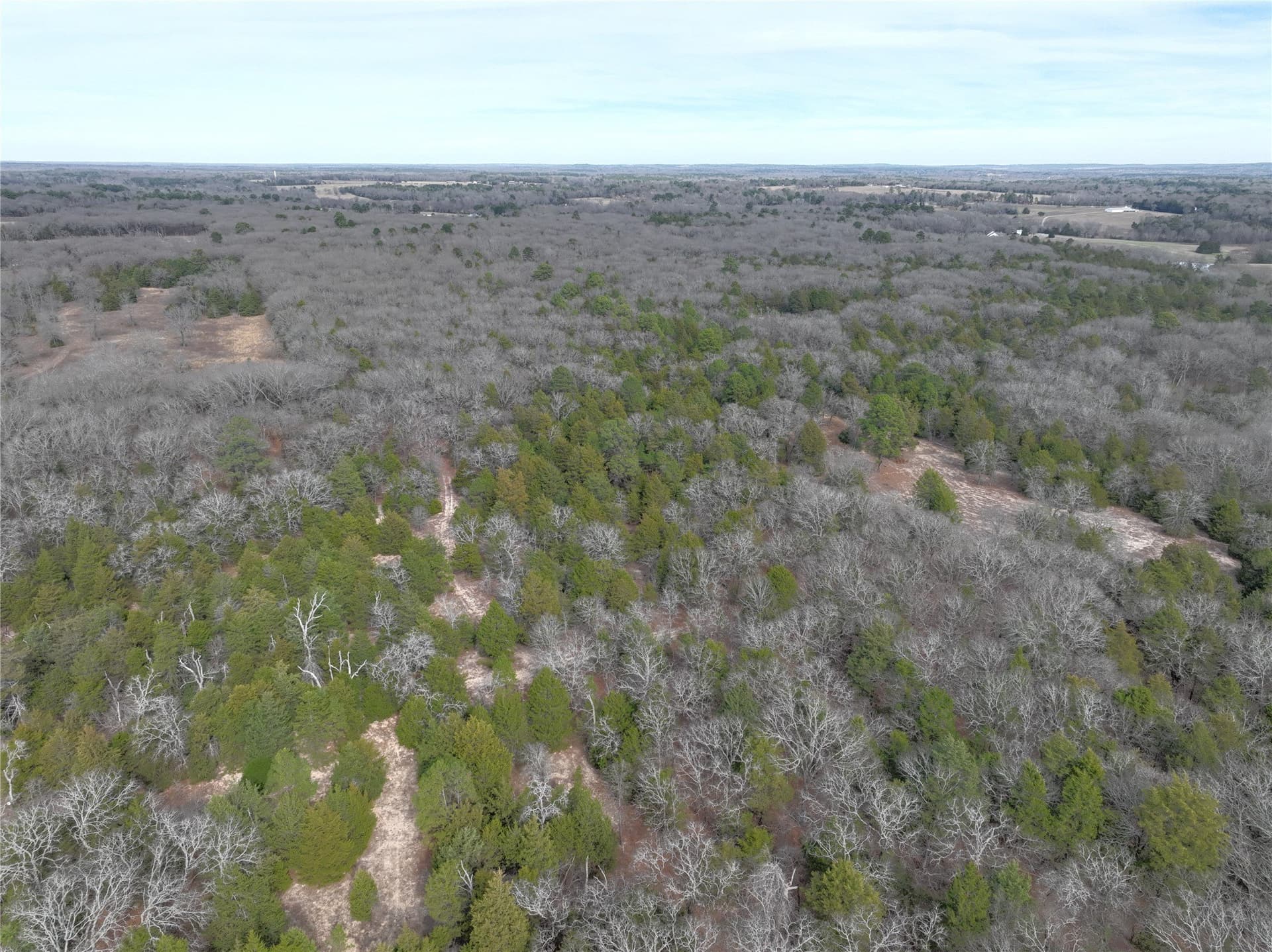 232.98 acres in Wood County - photo 26