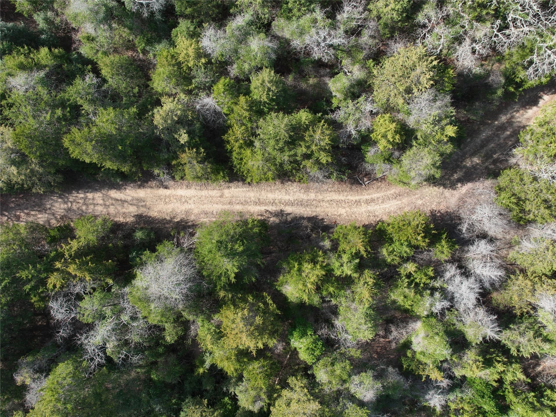 232.98 acres in Wood County - photo 7