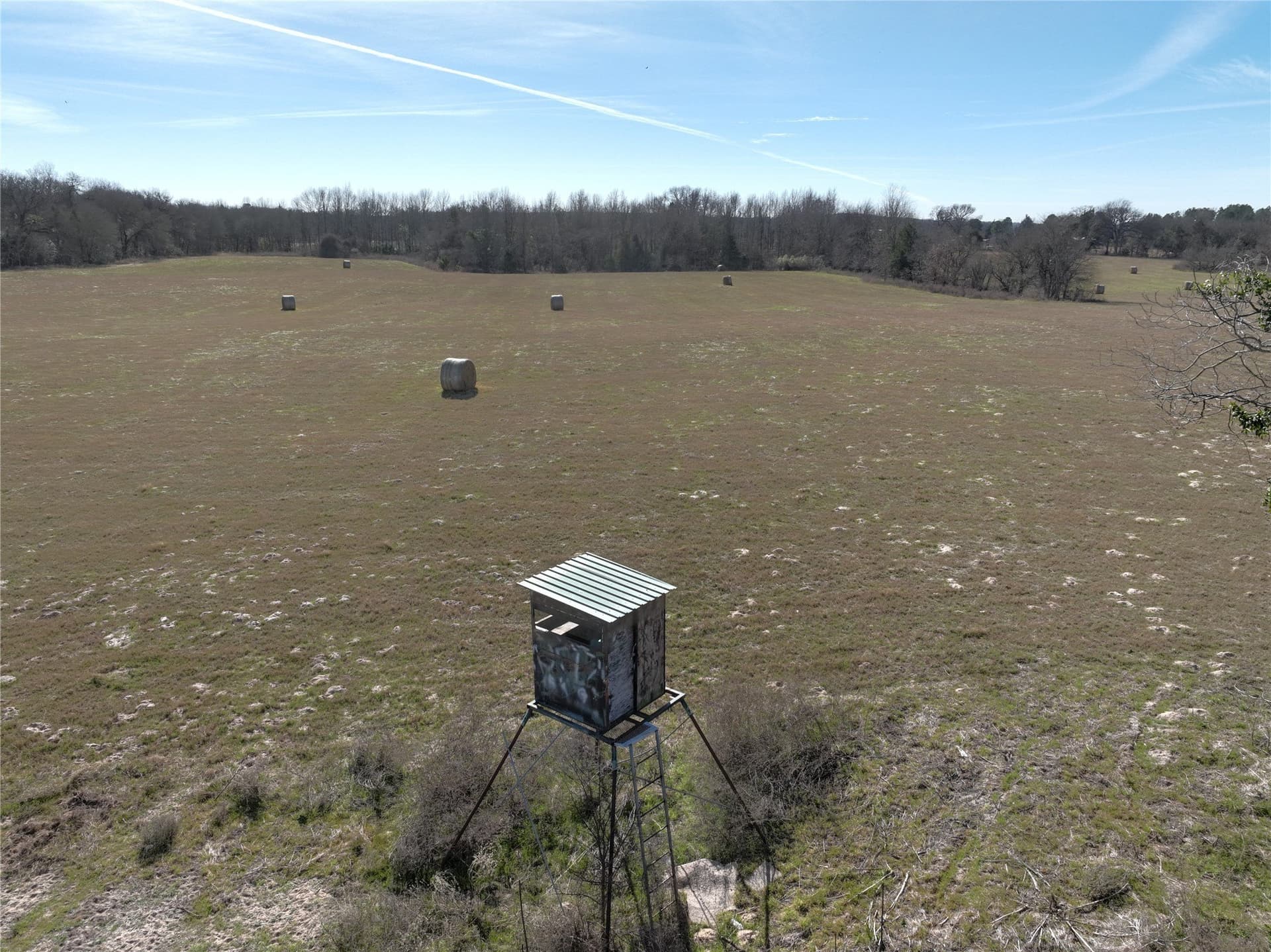 232.98 acres in Wood County - photo 11