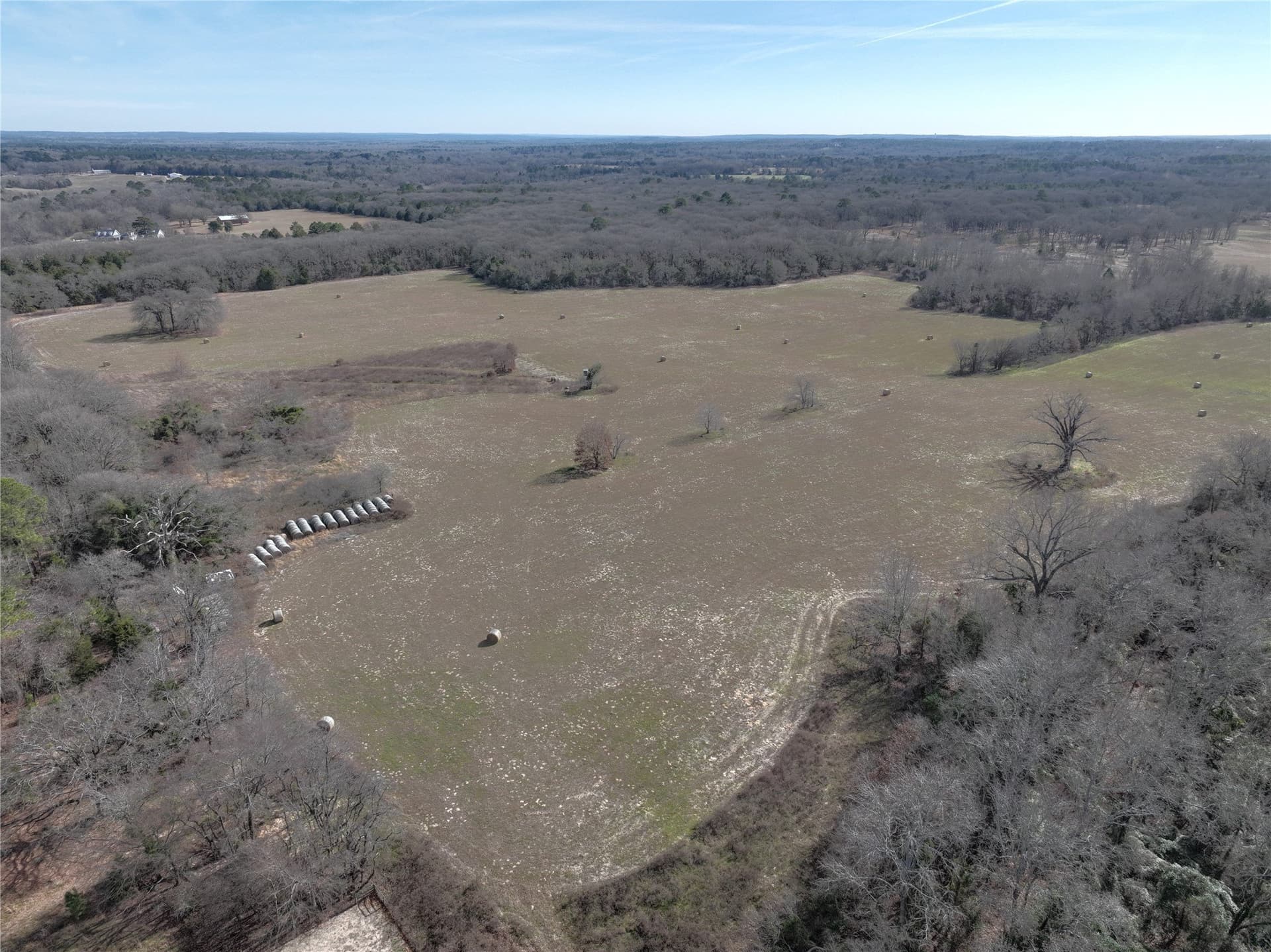 232.98 acres in Wood County - photo 21