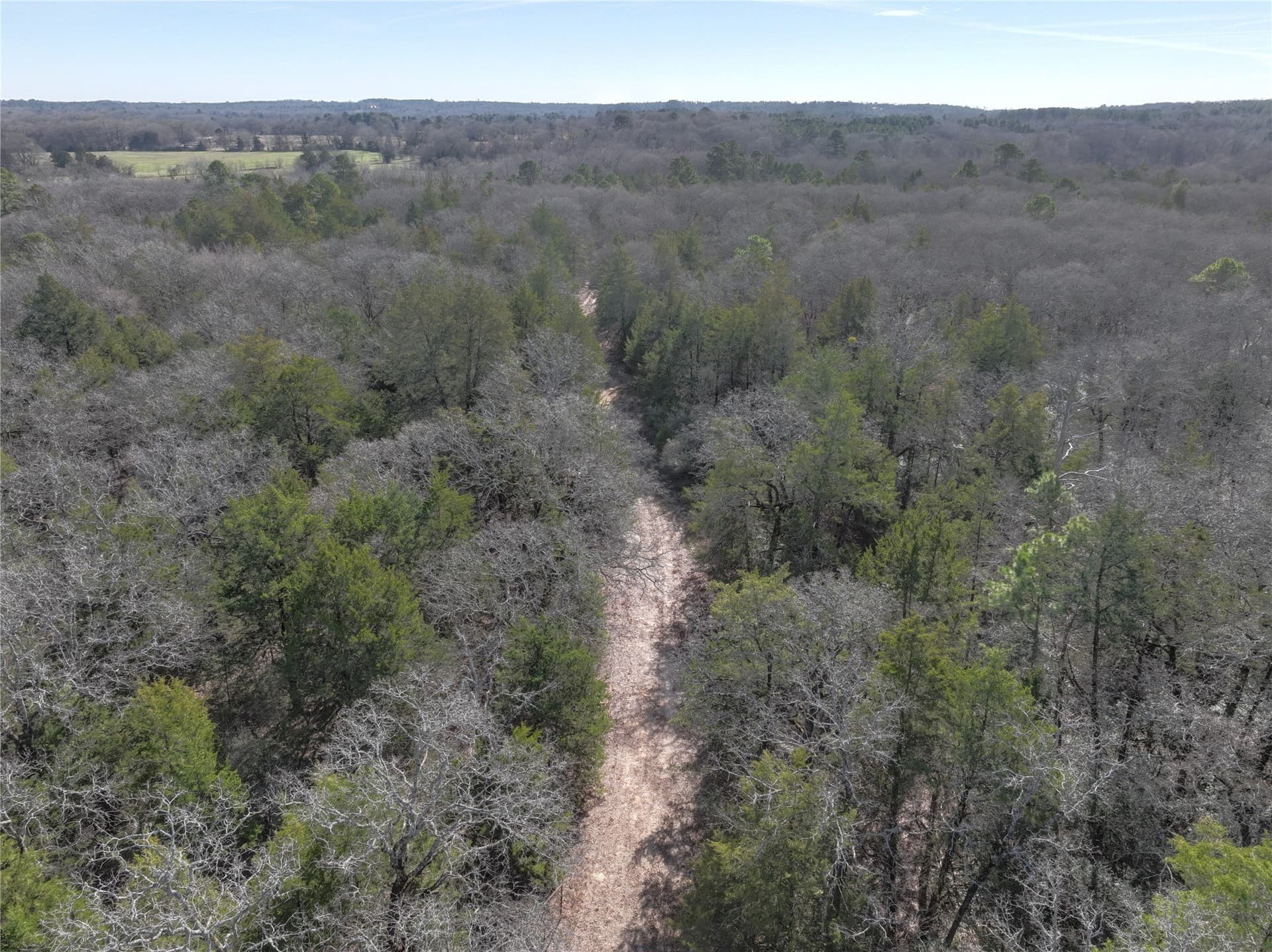232.98 acres in Wood County - photo 18