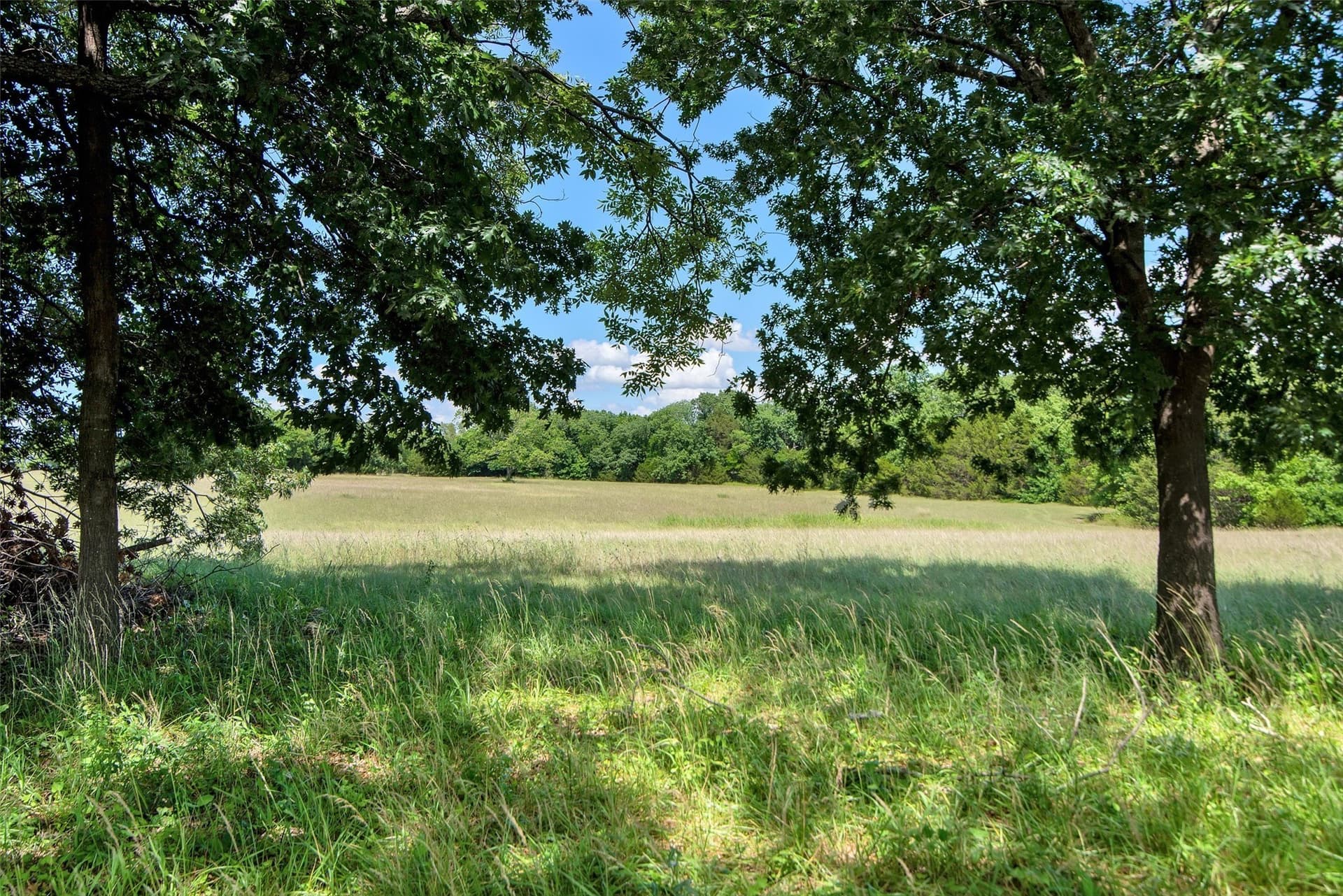 55.37 acres in Collin County - photo 33