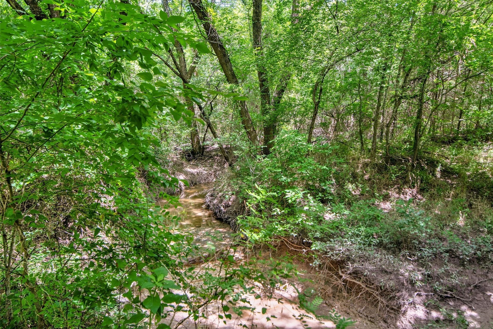 55.37 acres in Collin County - photo 34