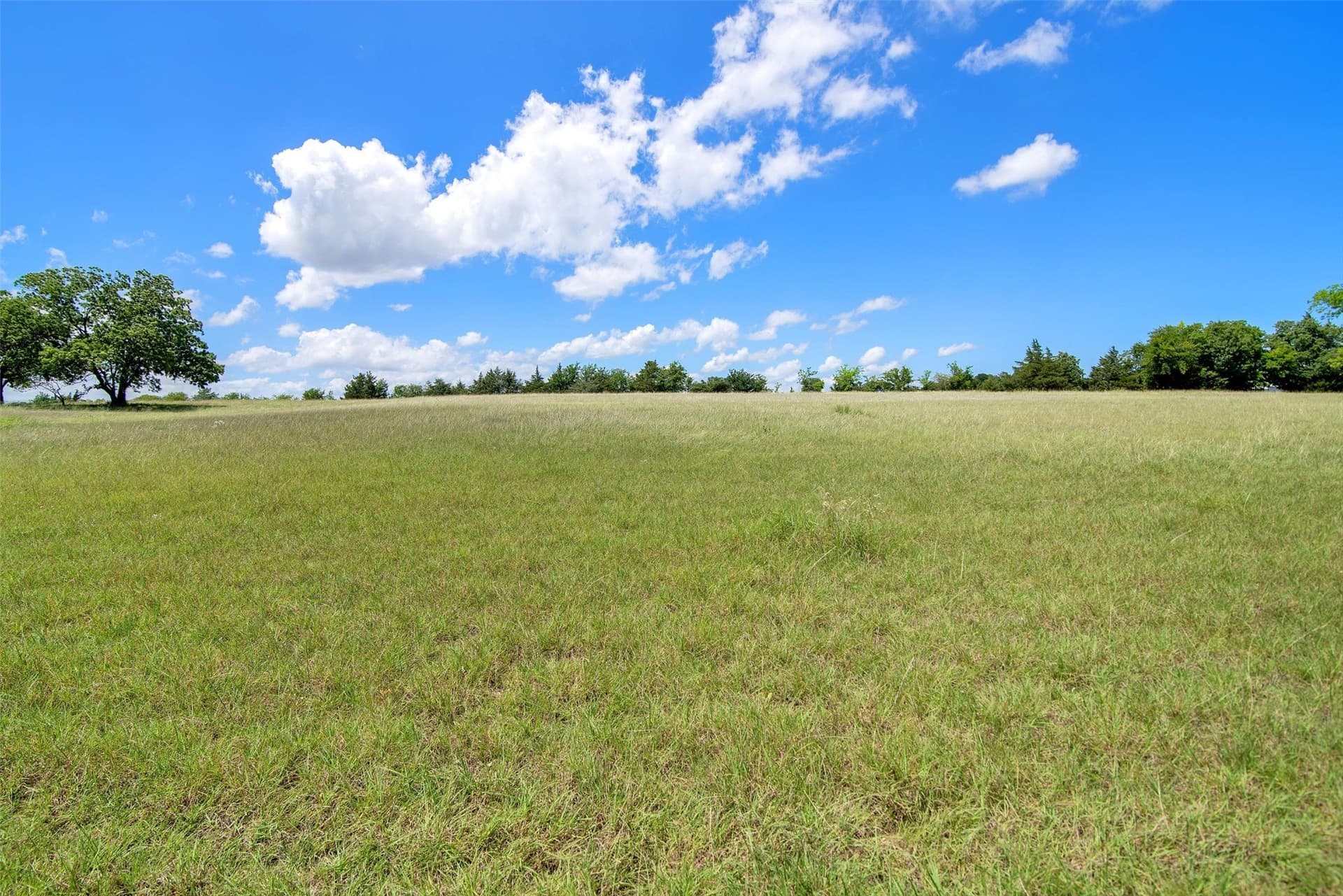 55.37 acres in Collin County - photo 35
