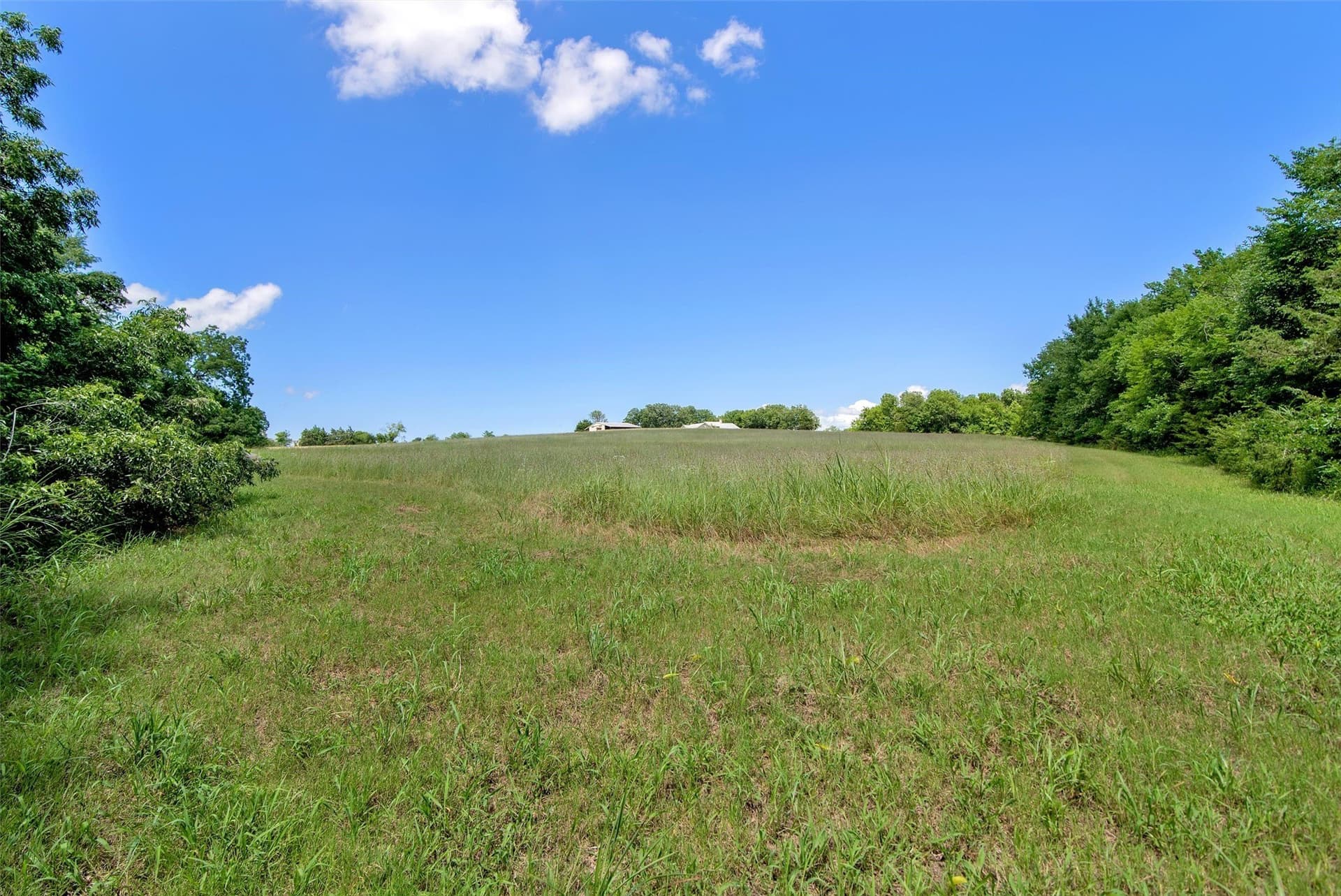 55.37 acres in Collin County - photo 5