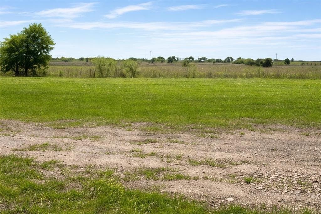 1.77 acres in Fannin County gallery image 2