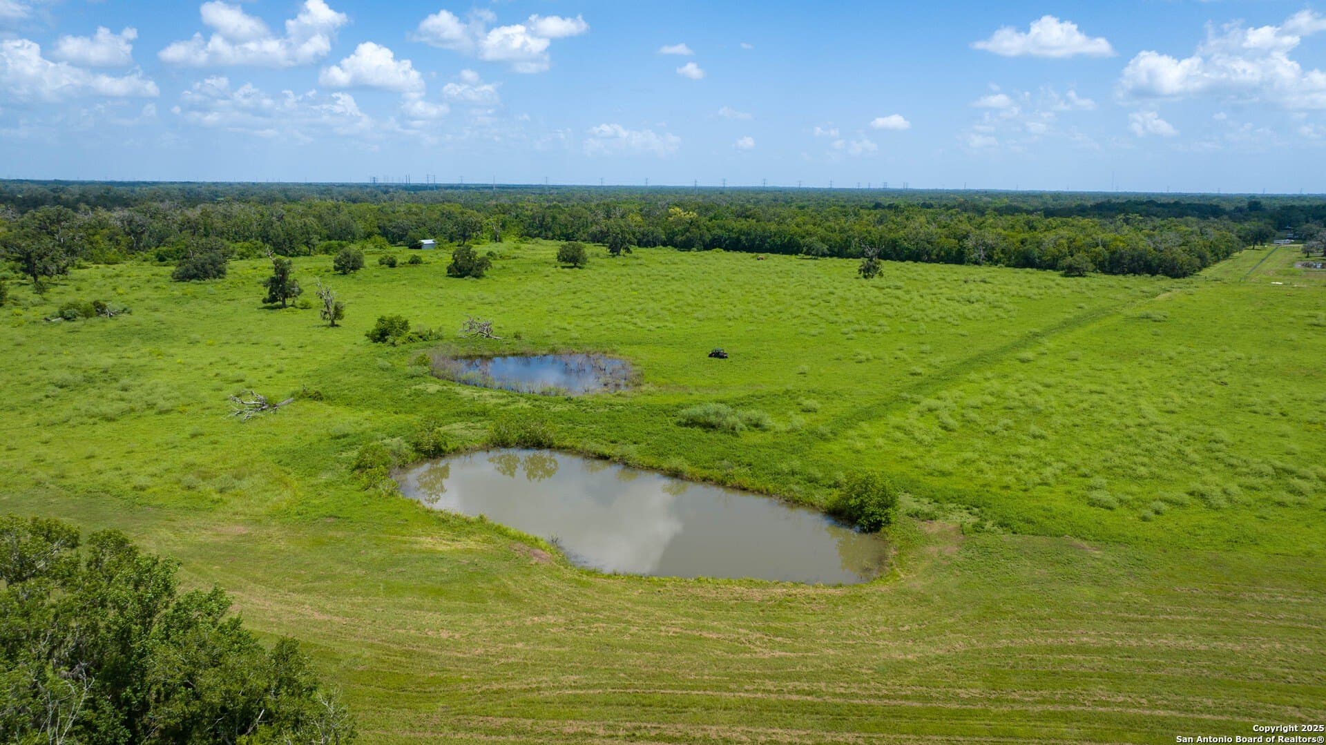 79.41 acres in Brazoria County gallery image 4