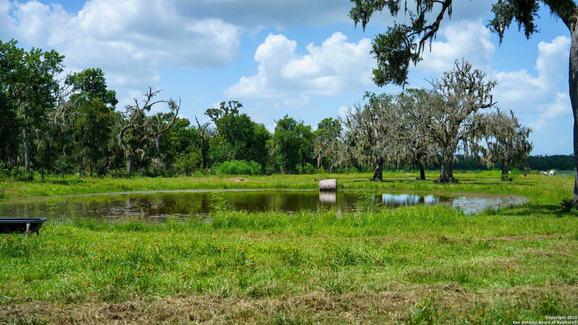 79.41 acres in Brazoria County gallery image 3