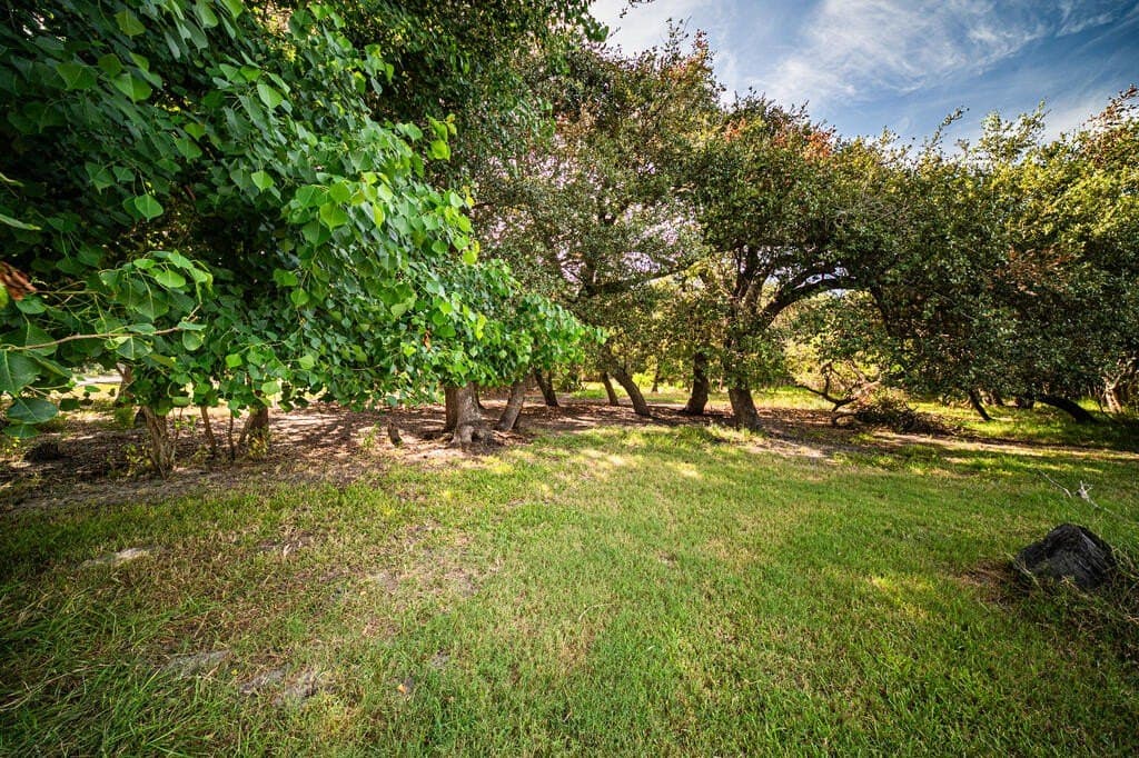 0.32 acres in Texas County - photo 6