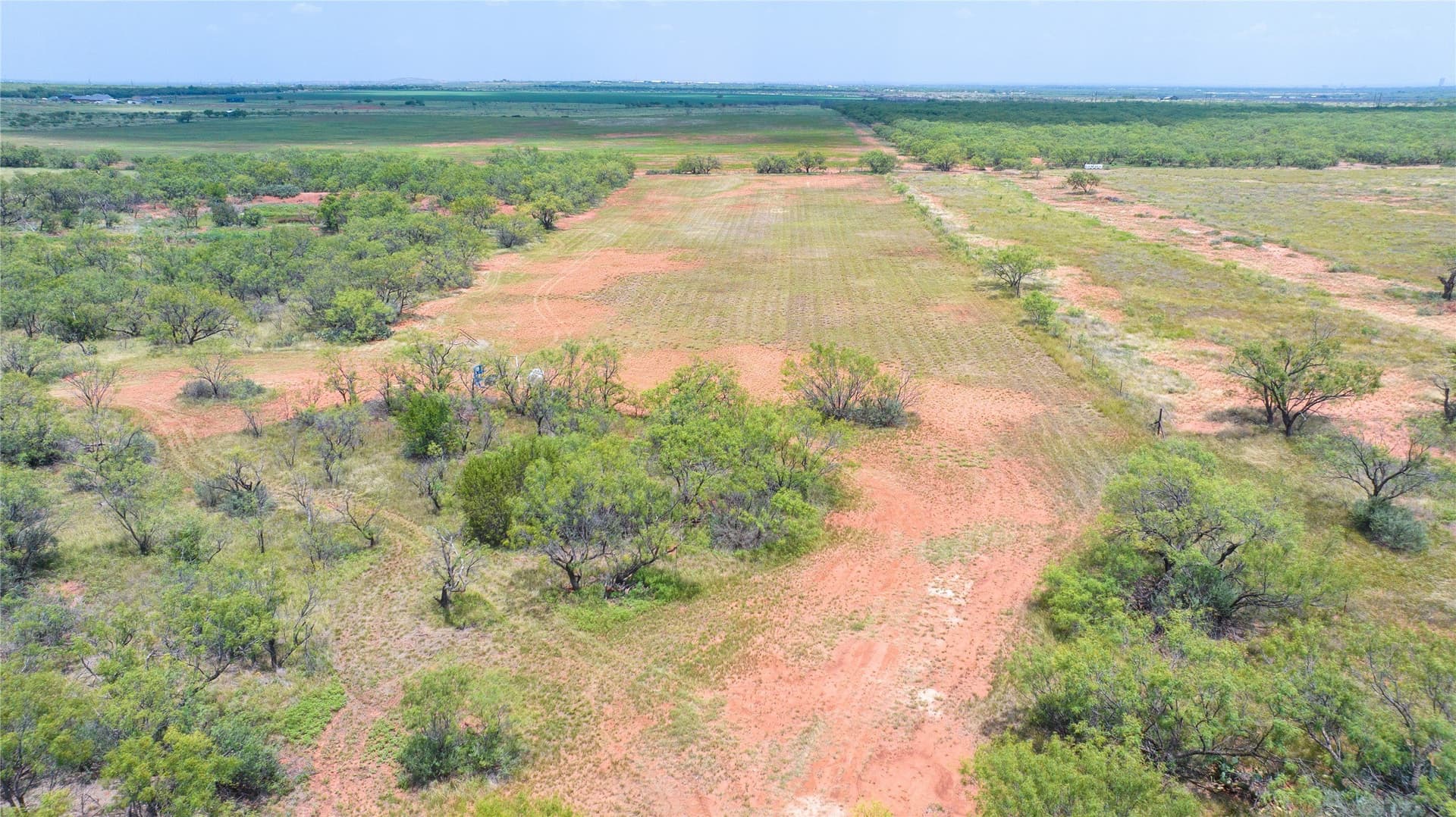 16.01 acres in Taylor County - photo 19