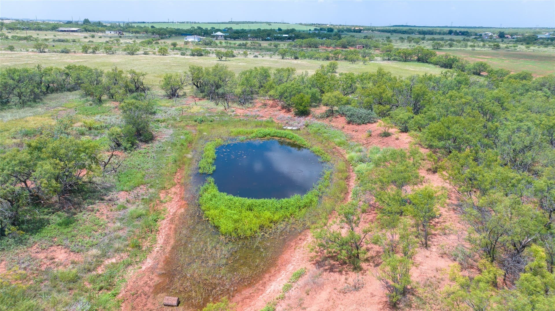 16.01 acres in Taylor County - photo 22