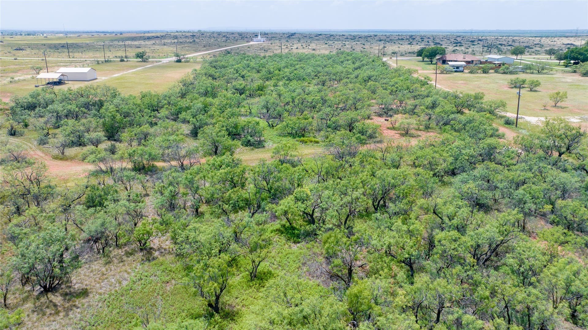 16.01 acres in Taylor County - photo 17