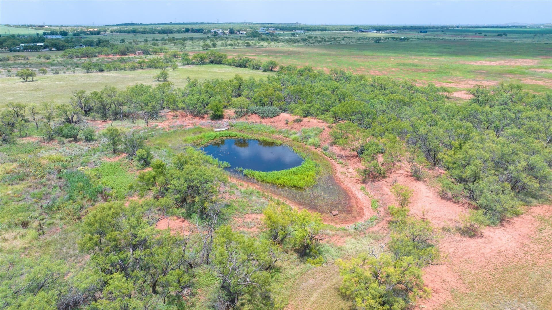16.01 acres in Taylor County - photo 21