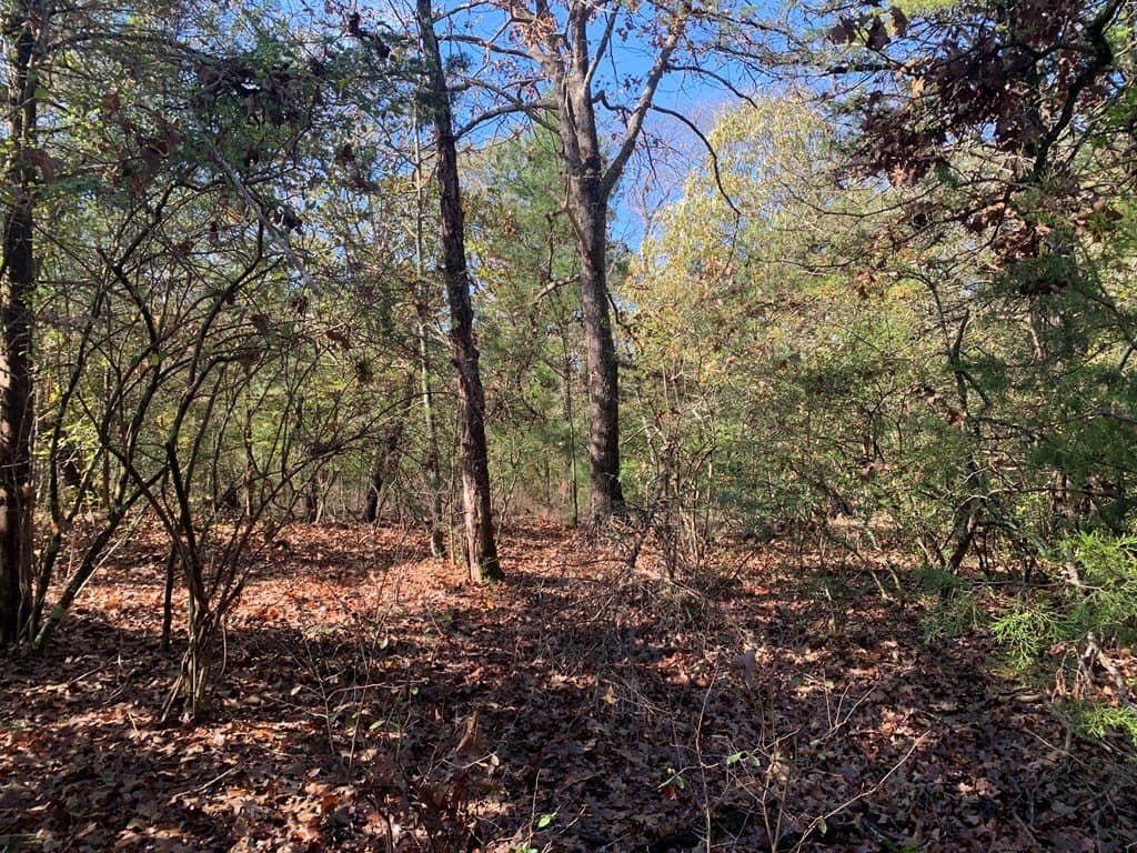 1.13 acres in Henderson County featured view