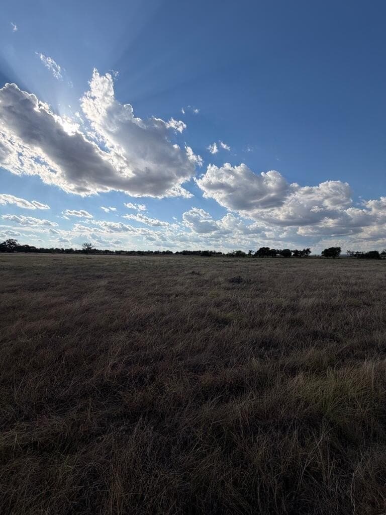 28 acres in Gillespie County - photo 17