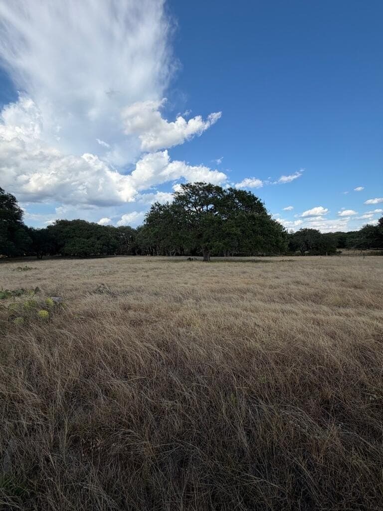 28 acres in Gillespie County - photo 9