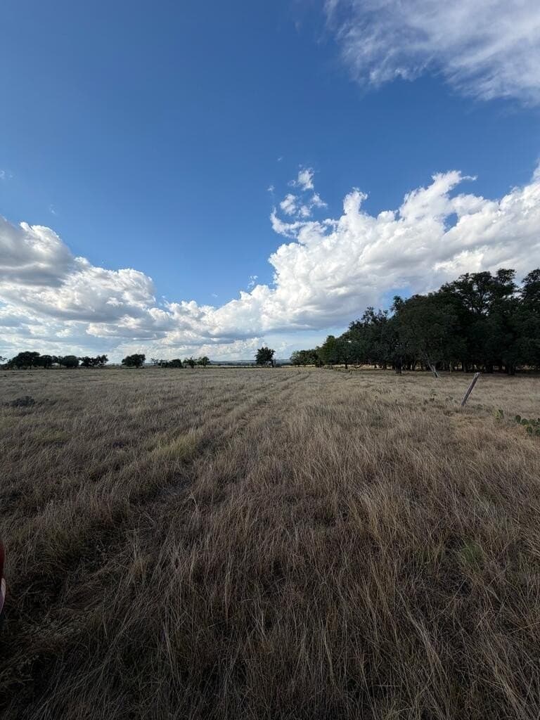 28 acres in Gillespie County - photo 10