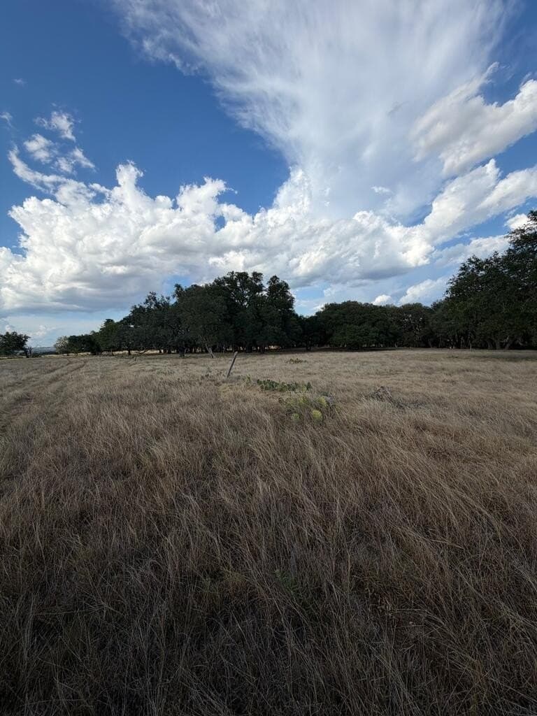 28 acres in Gillespie County - photo 16