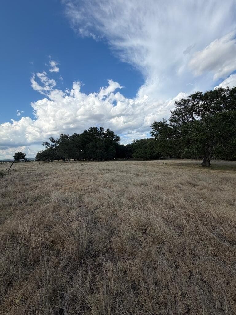 28 acres in Gillespie County - photo 11