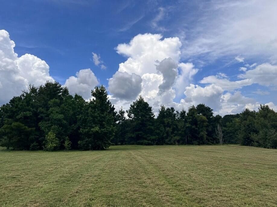 29.69 acres in Texas County - photo 2
