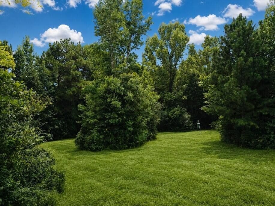 29.69 acres in Texas County - photo 17