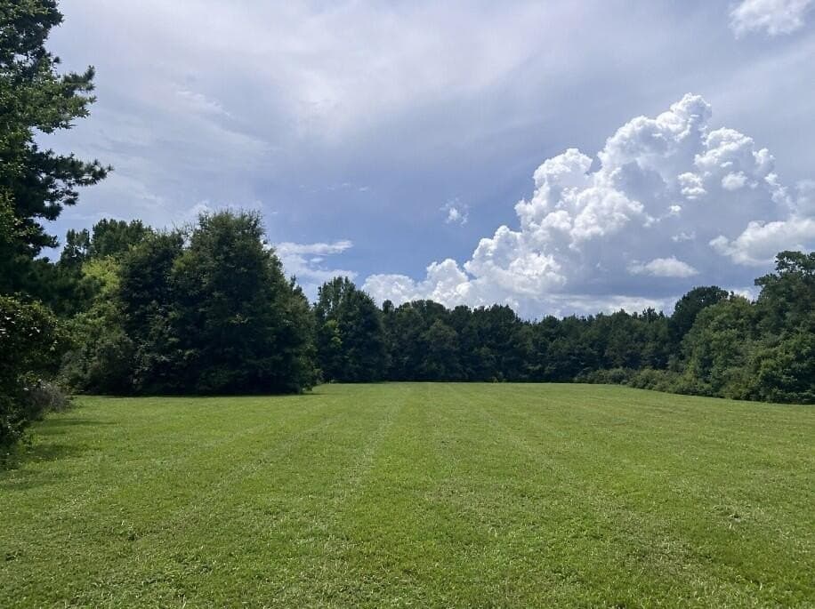 29.69 acres in Texas County - photo 4