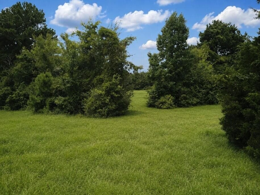 29.69 acres in Texas County - photo 5