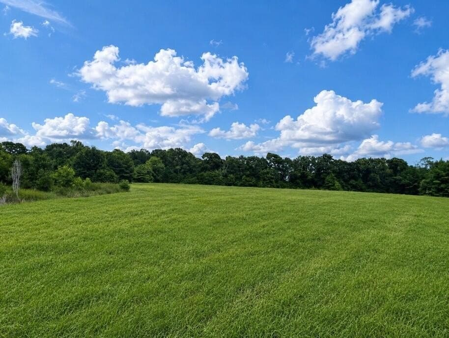 29.69 acres in Texas County - photo 20