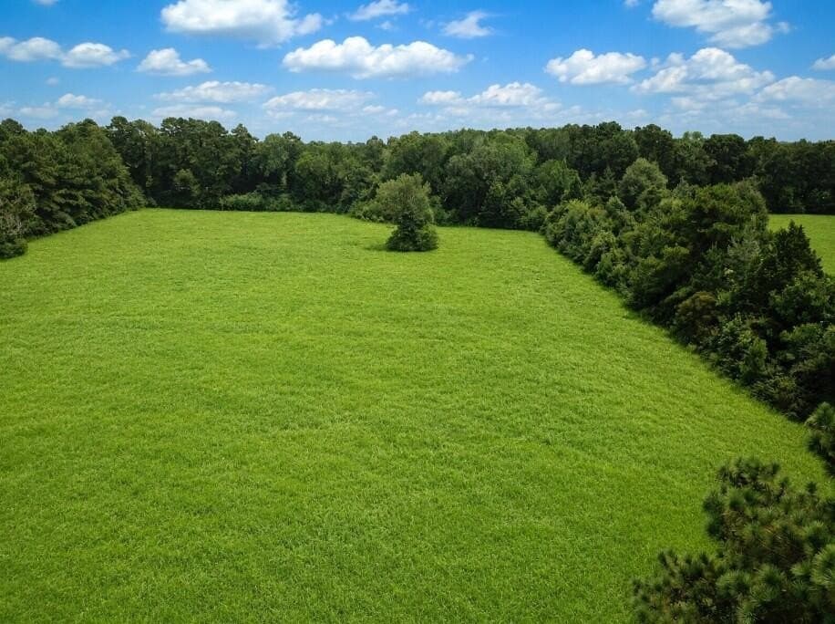 29.69 acres in Texas County - photo 15