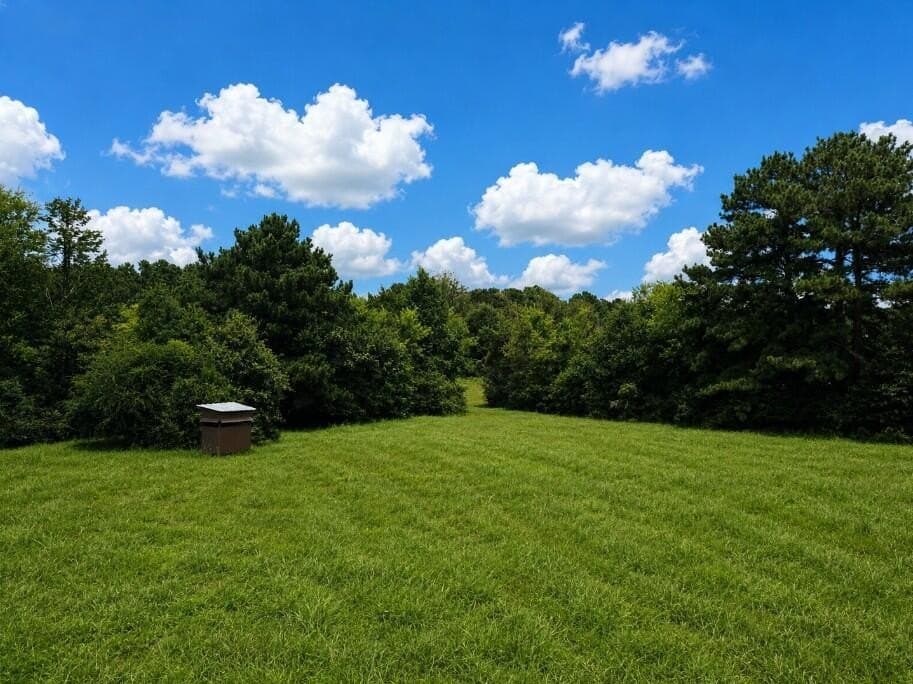 29.69 acres in Texas County