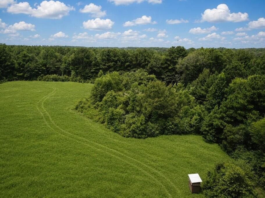 29.69 acres in Texas County - photo 7