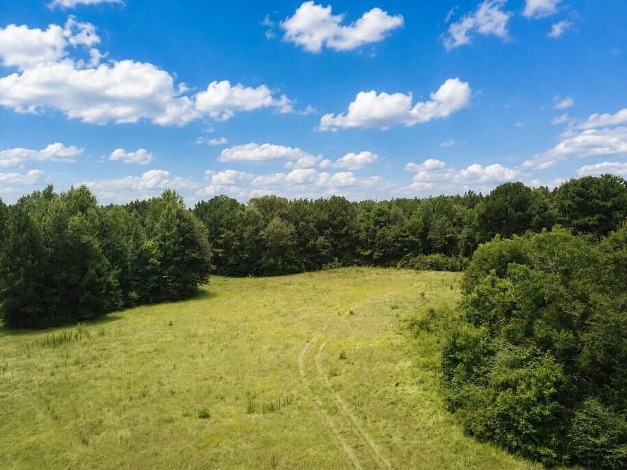 29.69 acres in Texas County - photo 3