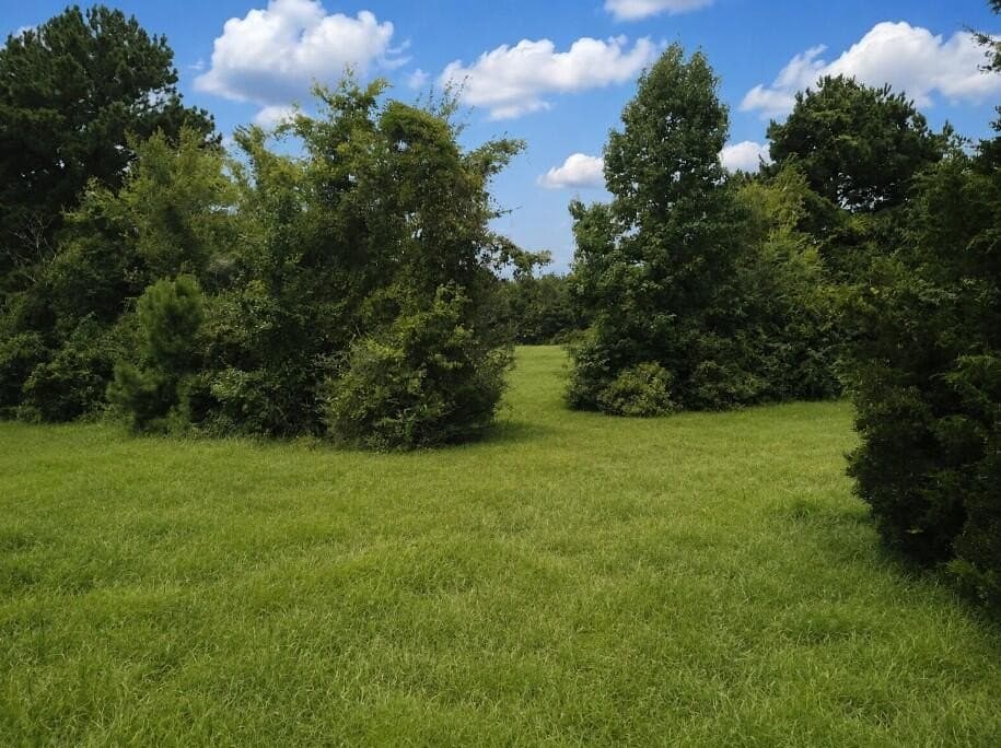 29.69 acres in Texas County - photo 6