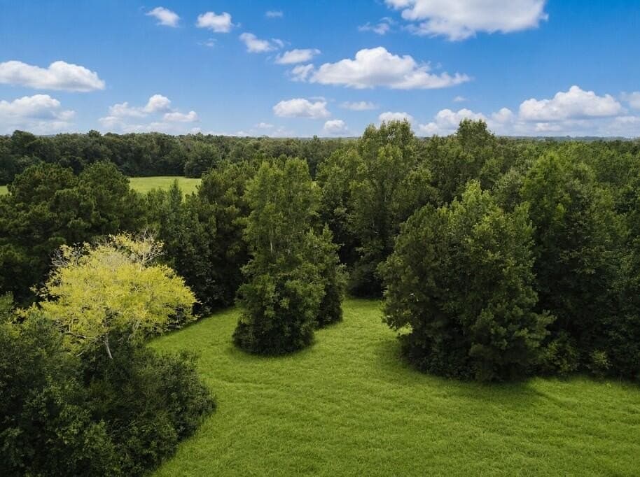 29.69 acres in Texas County - photo 9