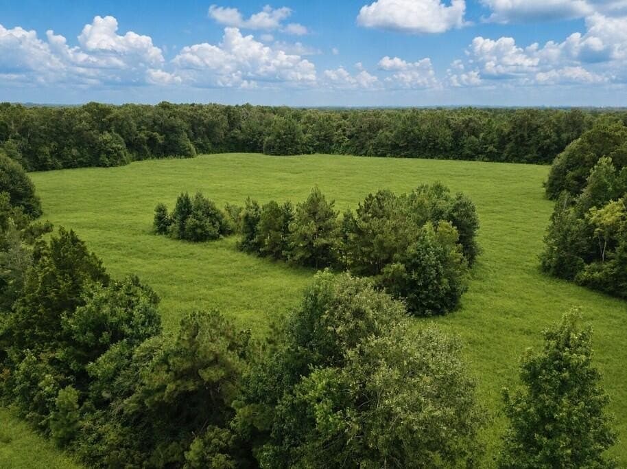 29.69 acres in Texas County - photo 12