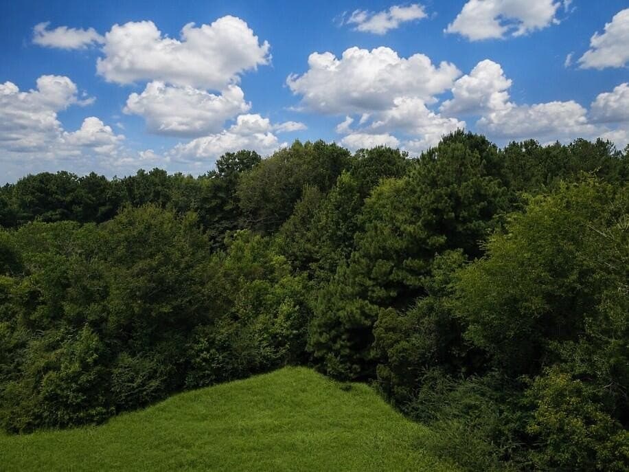 29.69 acres in Texas County - photo 8