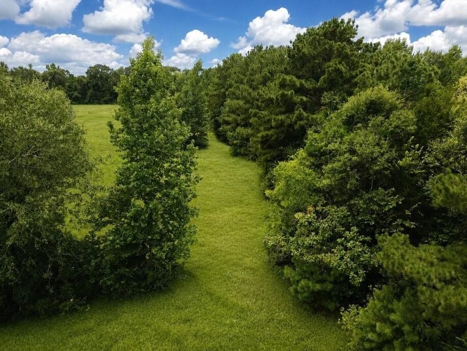 29.69 acres in Texas County - photo 19